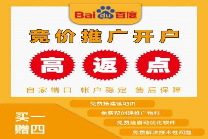 百度竞价广告投放案例剖析