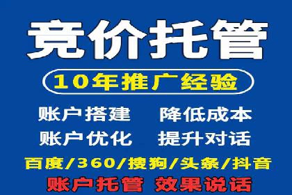 谷歌竞价广告的出价策略及某公司实践案例